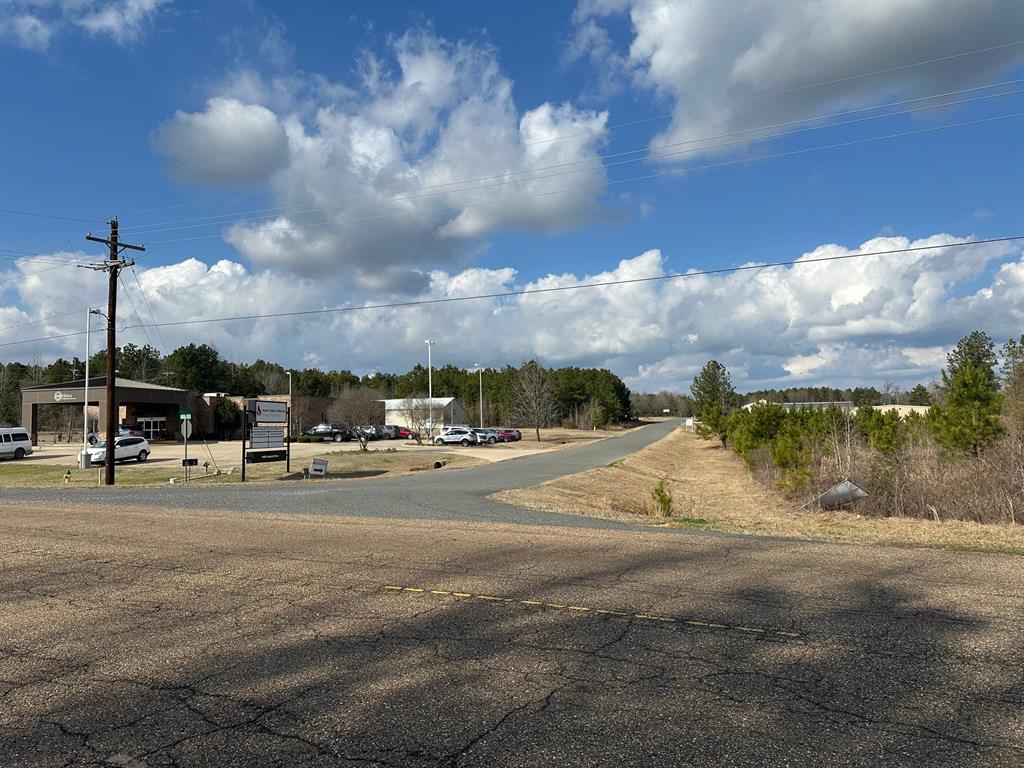 102 Ryan's Way Minden, LA 71055 - Photo 2 of 11