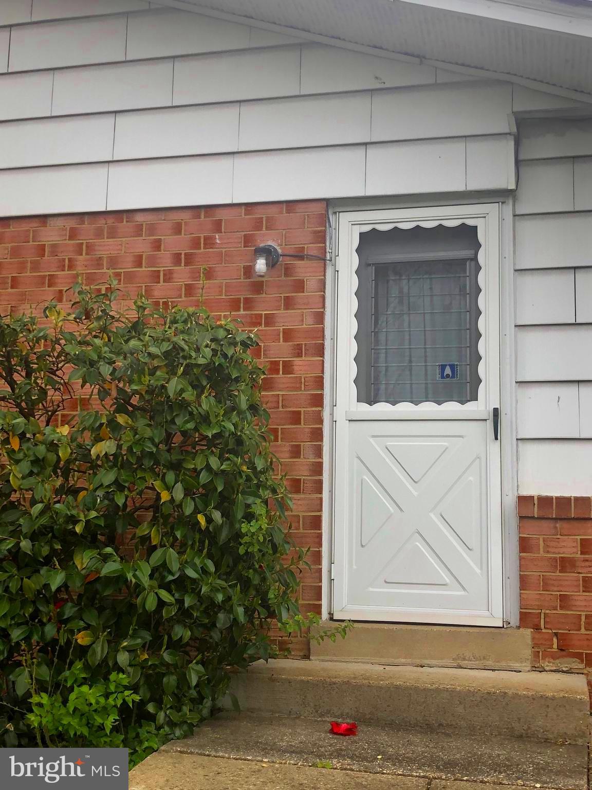 2019 Franwall Avenue Silver Spring, MD 20902 - Photo 40 of 42 Side kitchen door. Beautiful Camellia Plant