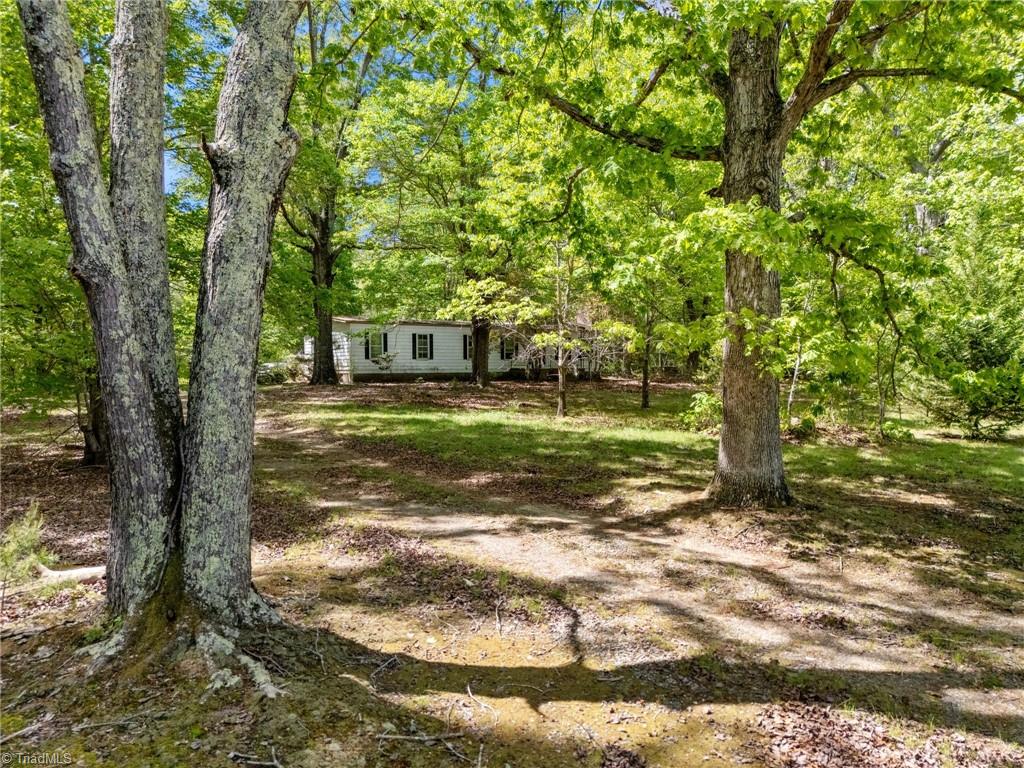 606 Dennys Store Road Roxboro, NC 27574 - Photo 4 of 16