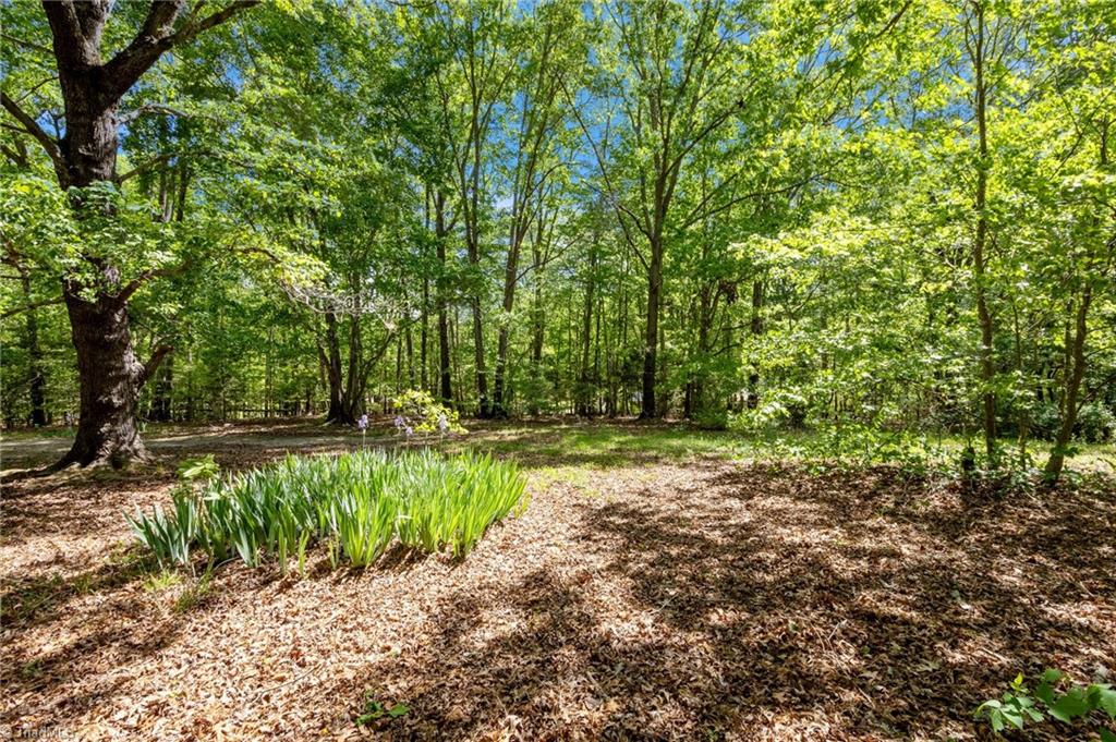 606 Dennys Store Road Roxboro, NC 27574 - Photo 5 of 16