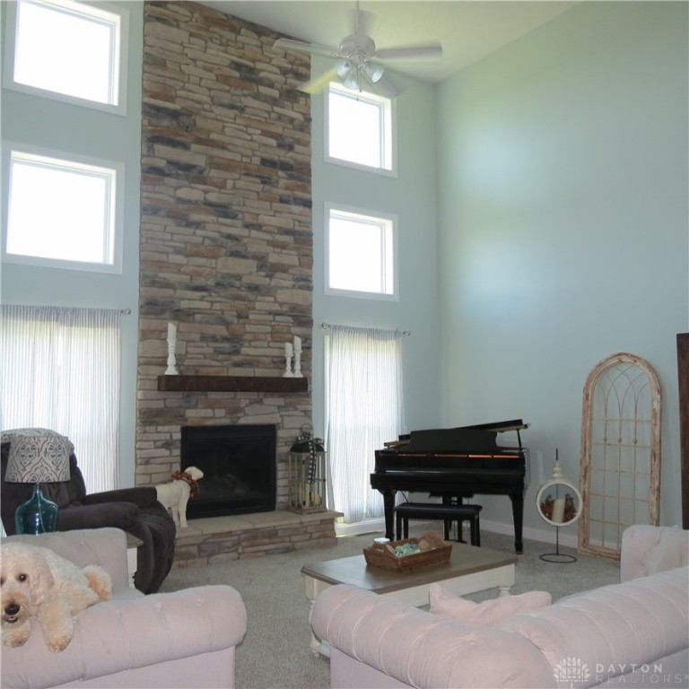 Gallery Image 7