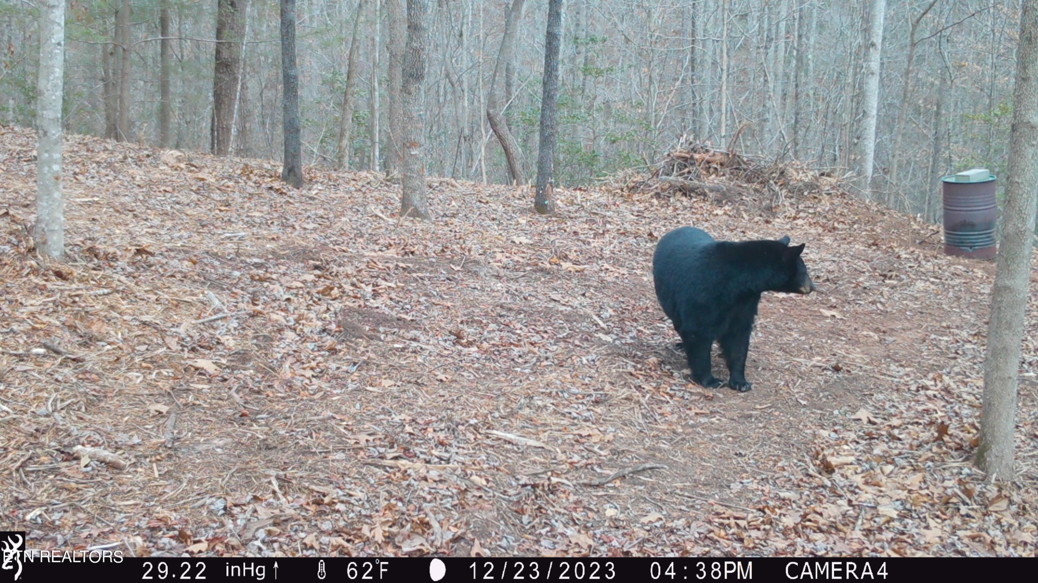 4827 Stump Road Maryville, TN 37803 - Photo 17 of 22 Gallery Image 17