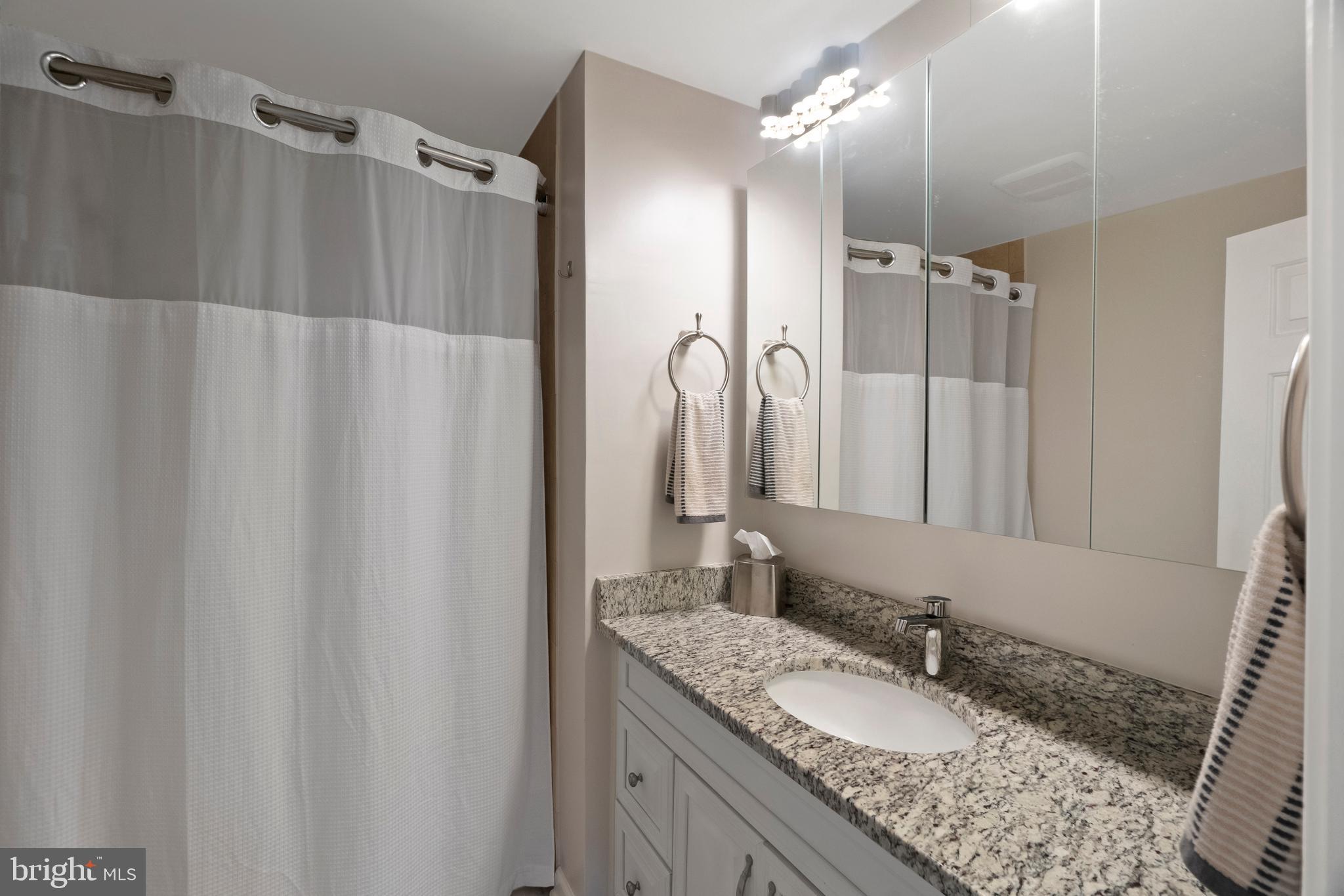 8834 Shadowlake Way Springfield, VA 22153 - Photo 24 of 40 Upgraded Primary Bathroom