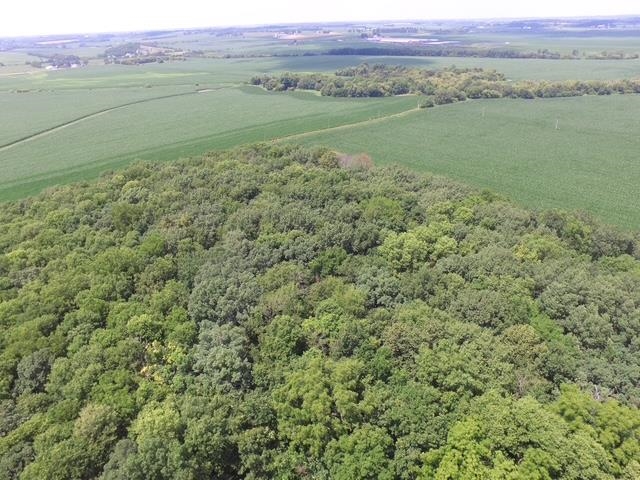 Lot 9 Mount Hope Brodhead, WI 53520 - Photo 4 of 14