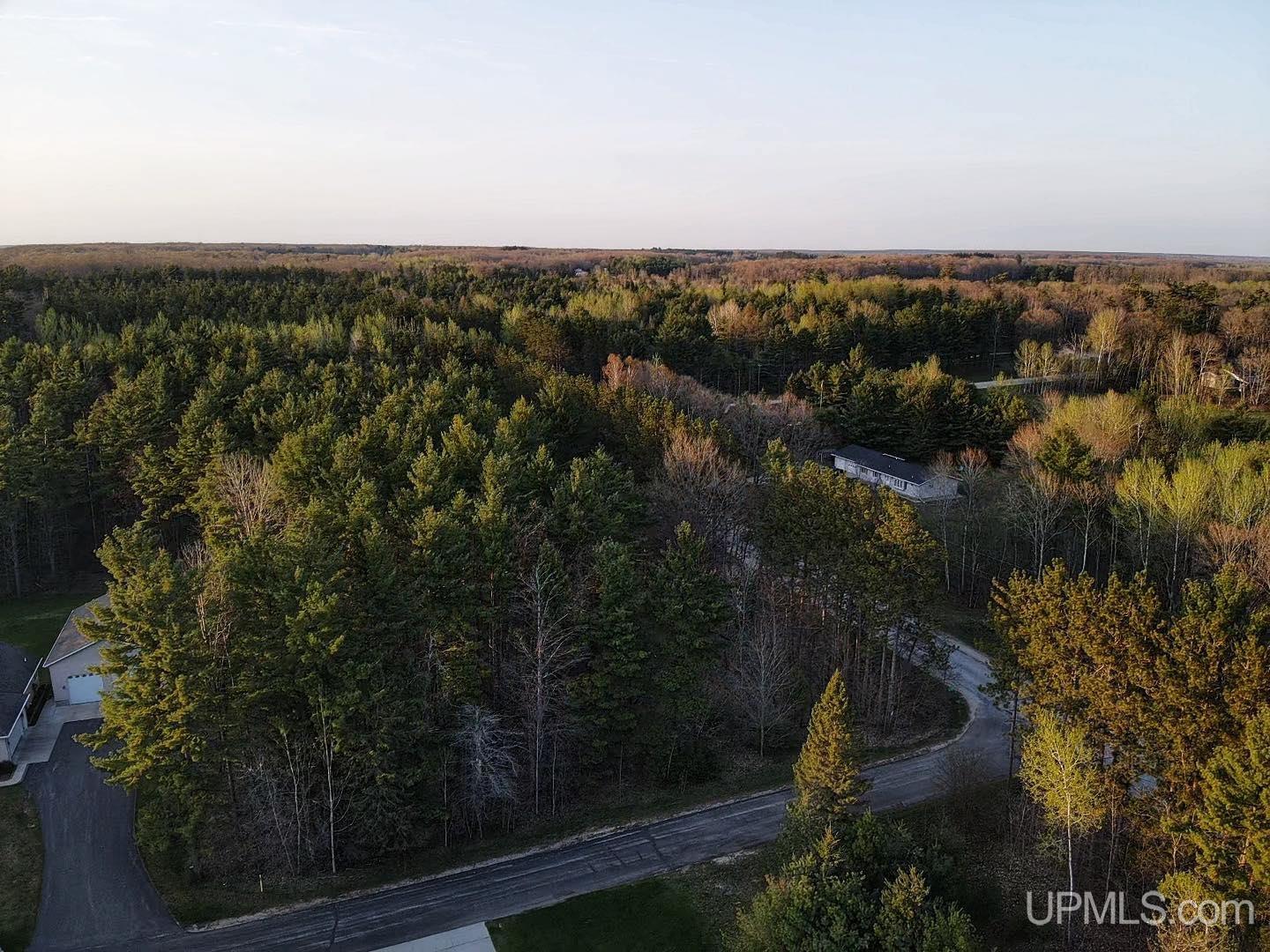 Tbd West Pine Ridge Road Manistique, MI 49854 - Photo 4 of 5
