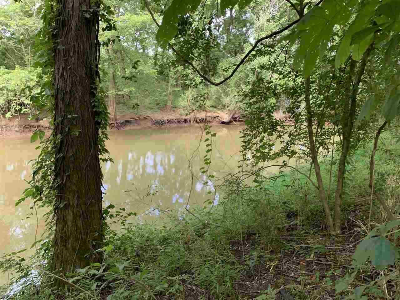 0 Tom Baker / Nance Bend Road Clifton, TN 38425 - Photo 11 of 13 Gallery Image 11