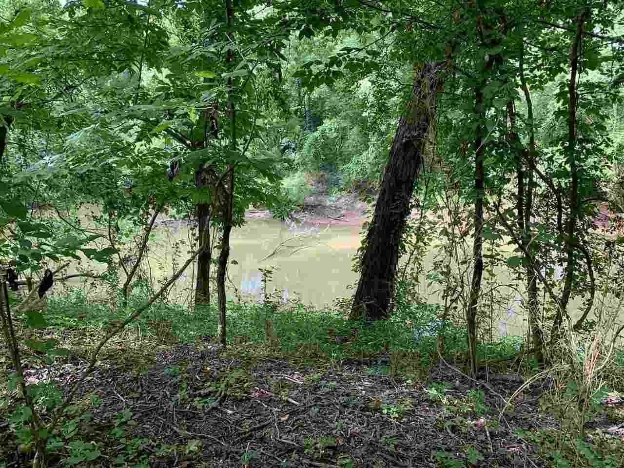 0 Tom Baker / Nance Bend Road Clifton, TN 38425 - Photo 6 of 13 Gallery Image 6