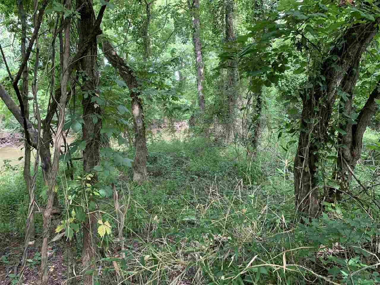 0 Tom Baker / Nance Bend Road Clifton, TN 38425 - Photo 8 of 13 Gallery Image 8