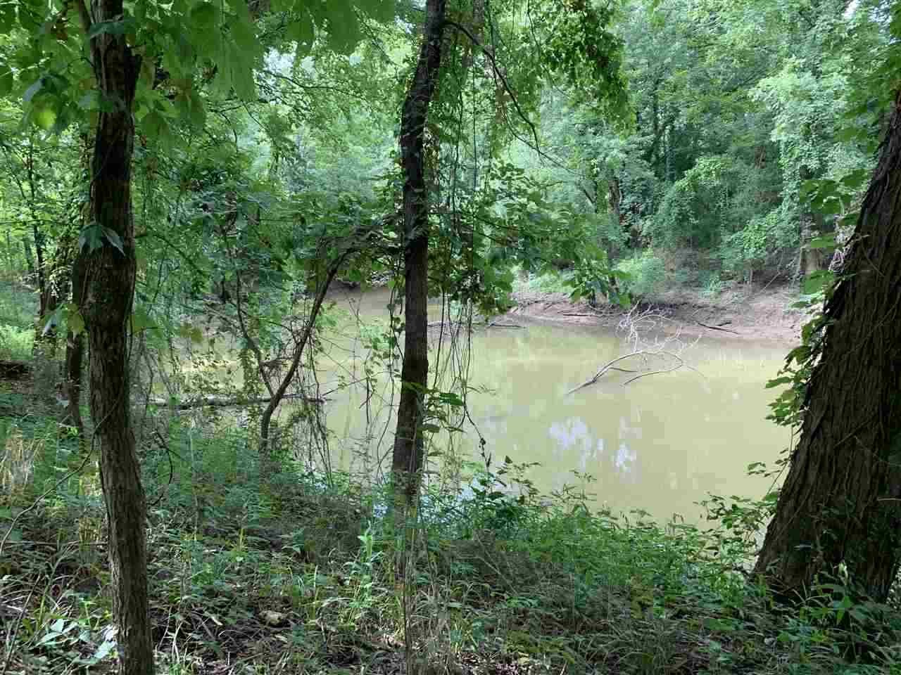 0 Tom Baker / Nance Bend Road Clifton, TN 38425 - Photo 9 of 13 Gallery Image 9
