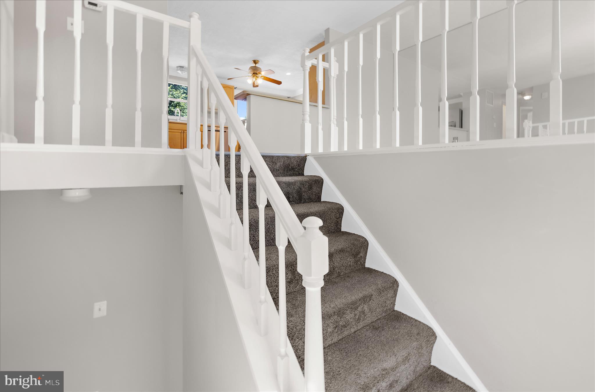 7854 Tick Neck Road Pasadena, MD 21122 - Photo 5 of 55