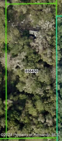 a garden view with a space