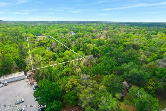 a view of a yard with a tree