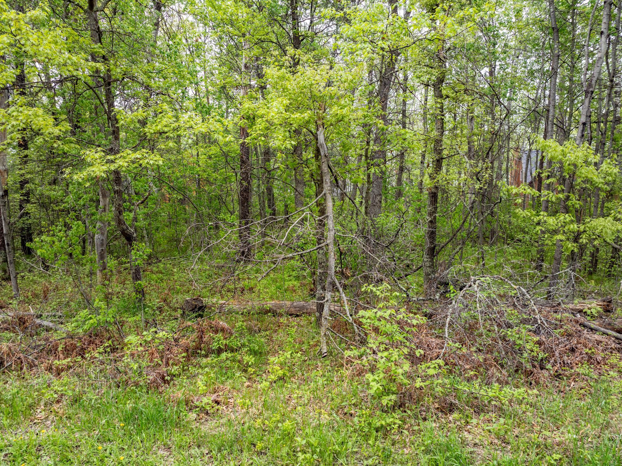 Tbd Dodder Lane Southwest Pequot Lakes, MN 56472 - Photo 16 of 18