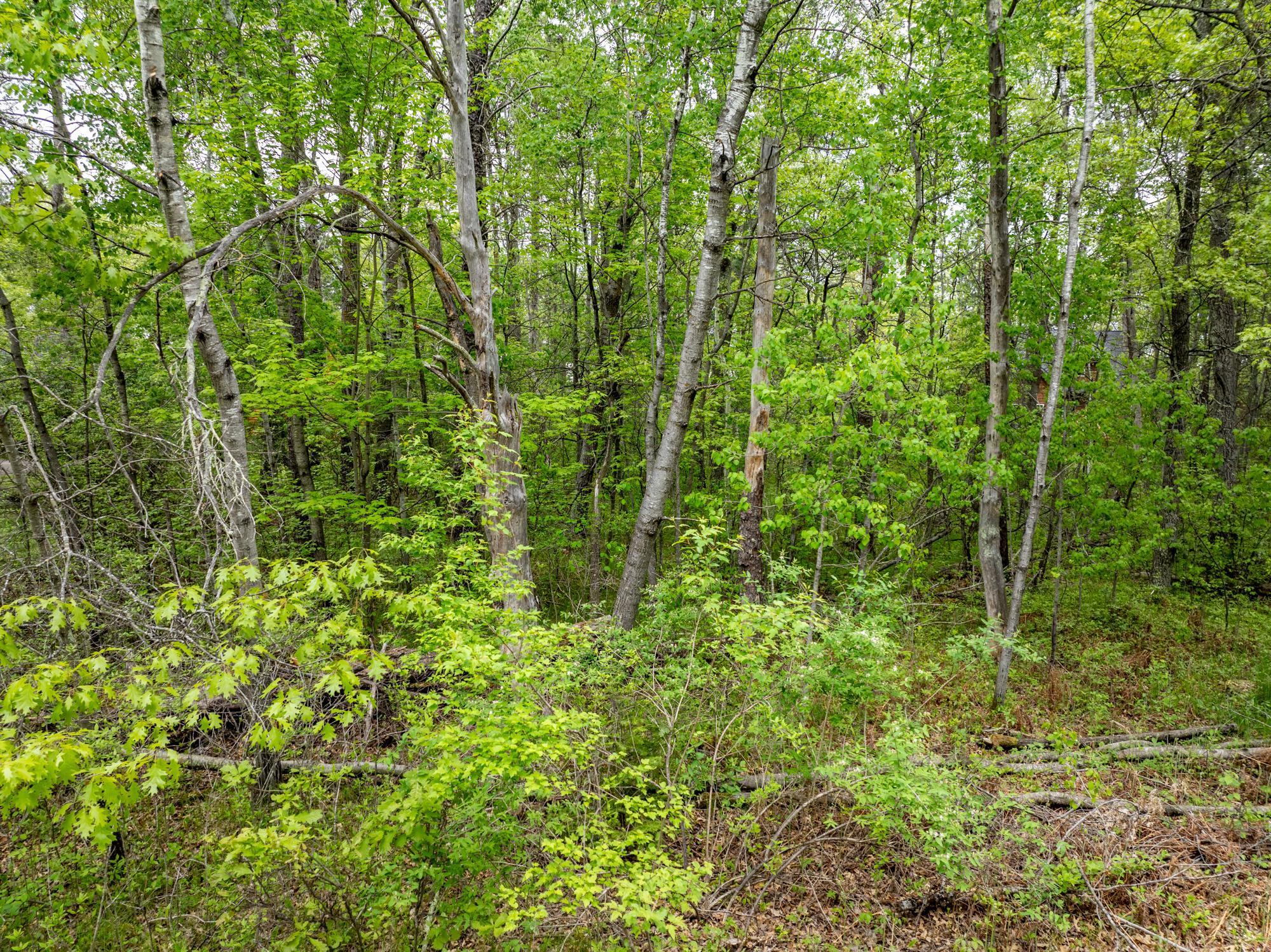 Tbd Dodder Lane Southwest Pequot Lakes, MN 56472 - Photo 17 of 18