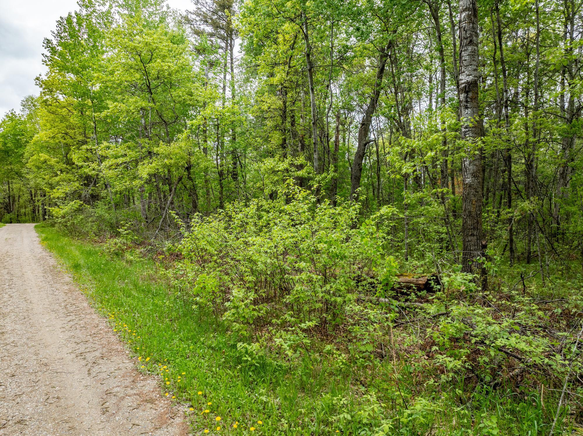 Tbd Dodder Lane Southwest Pequot Lakes, MN 56472 - Photo 18 of 18