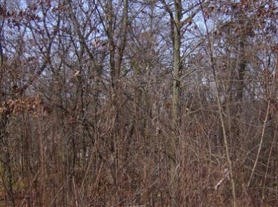 Lot 6 Rustic Drive Demotte, IN 46310 - Photo 1 of 1 398x297