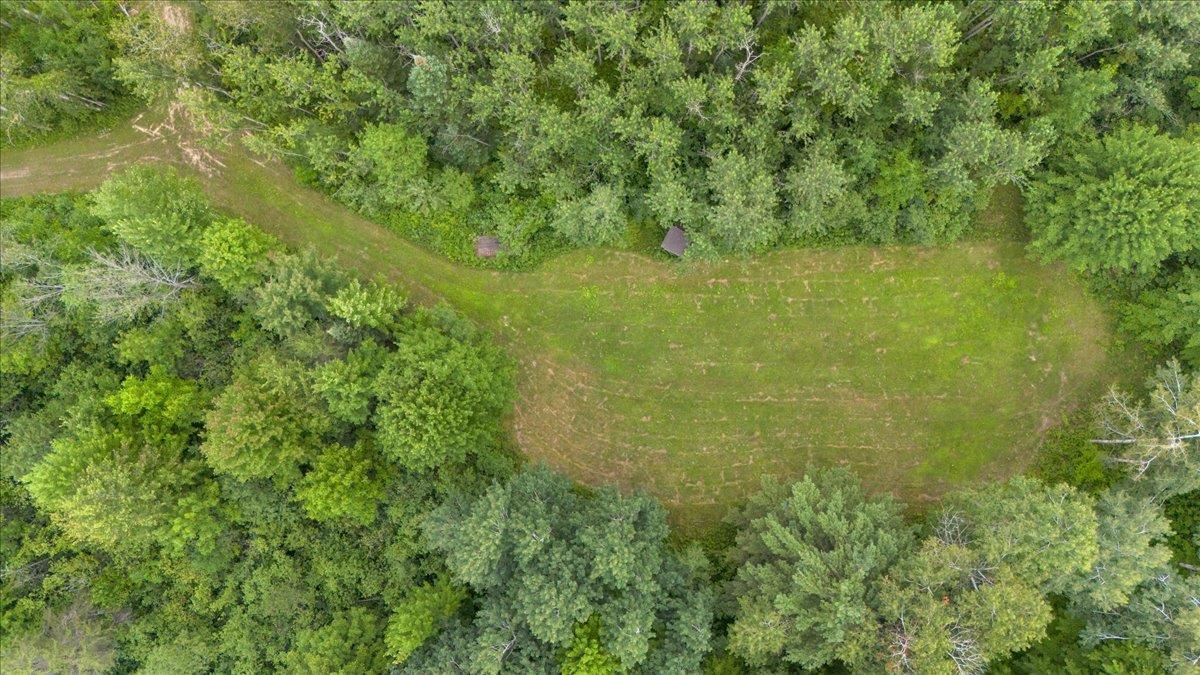 1369 East County Line Road Hale, MI 48739 - Photo 11 of 92