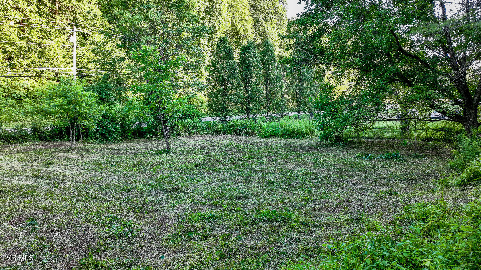 1555 Highway 321 Hampton, TN 37658 - Photo 4 of 8 dji_fly_20250707_191714_0675_17519304393