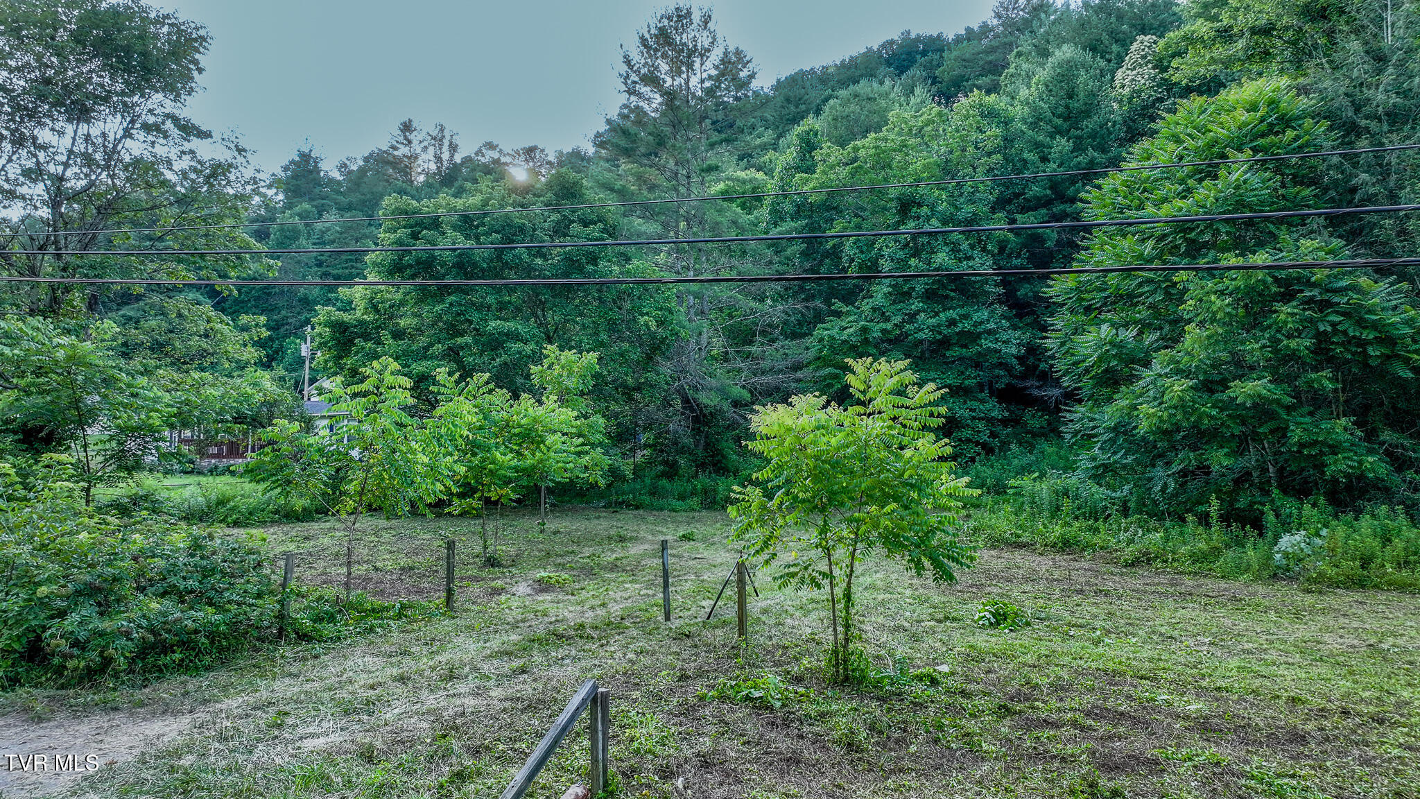 1555 Highway 321 Hampton, TN 37658 - Photo 5 of 8 dji_fly_20250707_191916_0681_17519304375