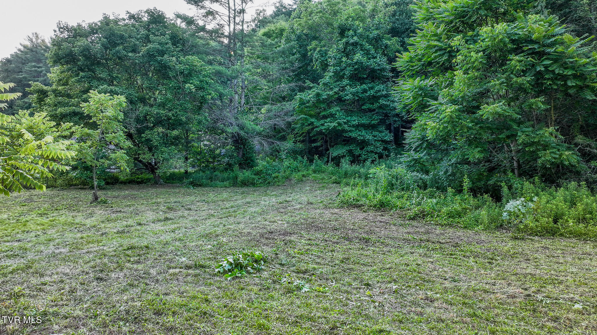 1555 Highway 321 Hampton, TN 37658 - Photo 8 of 8 dji_fly_20250707_192006_0690_17519304349