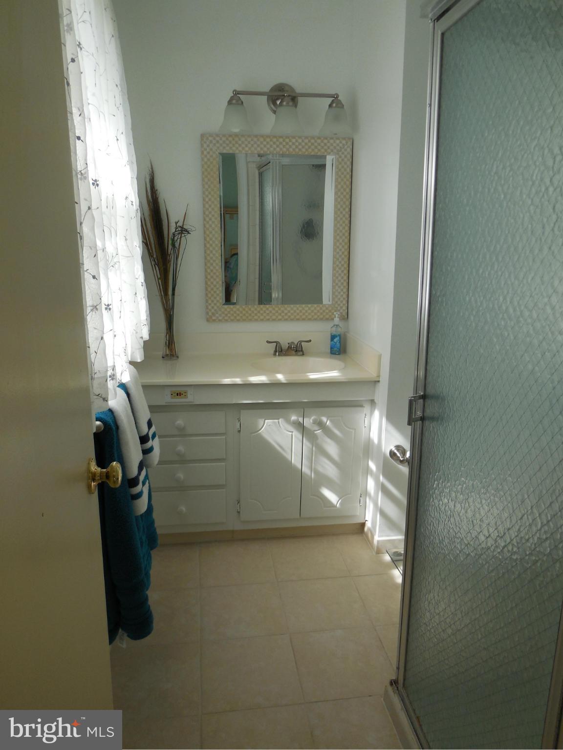 8820 Side Saddle Road Springfield, VA 22152 - Photo 16 of 29 Bath (Master)