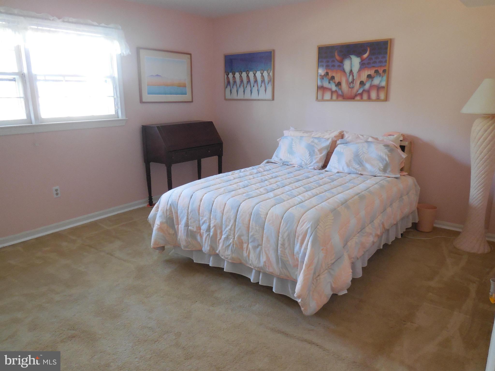 8820 Side Saddle Road Springfield, VA 22152 - Photo 24 of 29 Lower Level Bedroom
