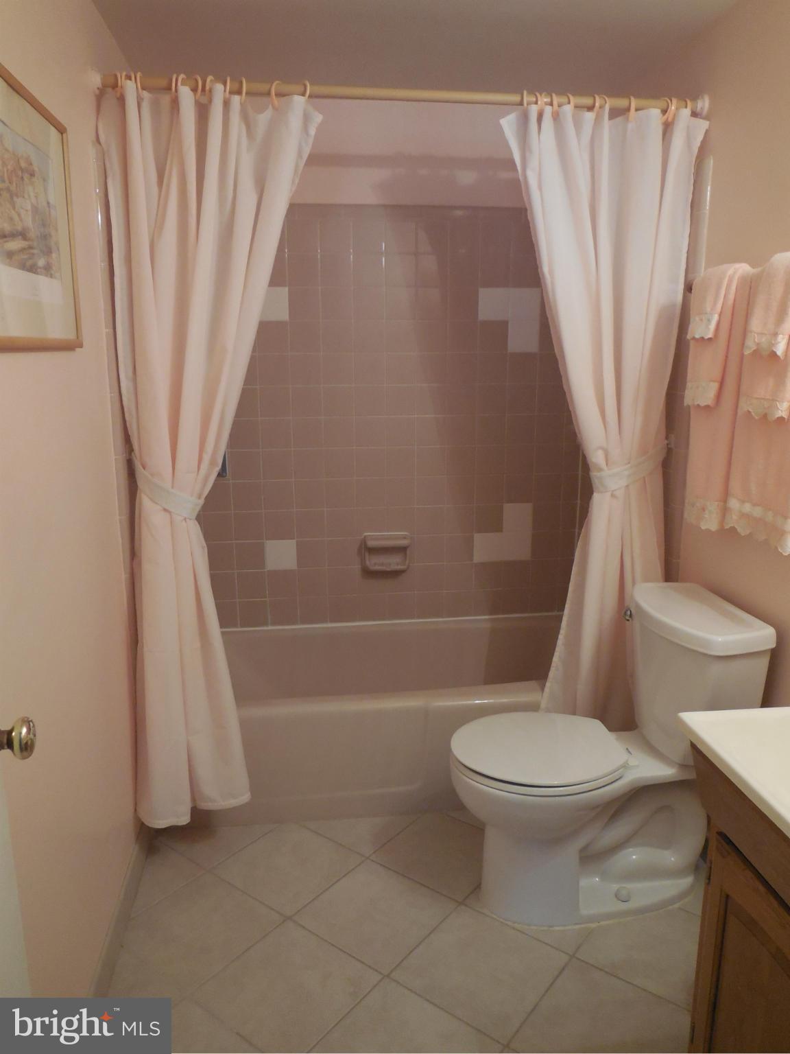 8820 Side Saddle Road Springfield, VA 22152 - Photo 26 of 29 Lower Level Bath
