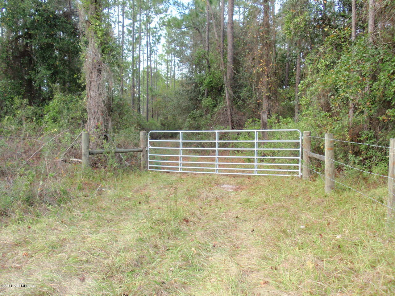226 Eagle Creek Road Green Cove Springs, FL 32043 - Photo 1 of 4 a view of outdoor space and yard
