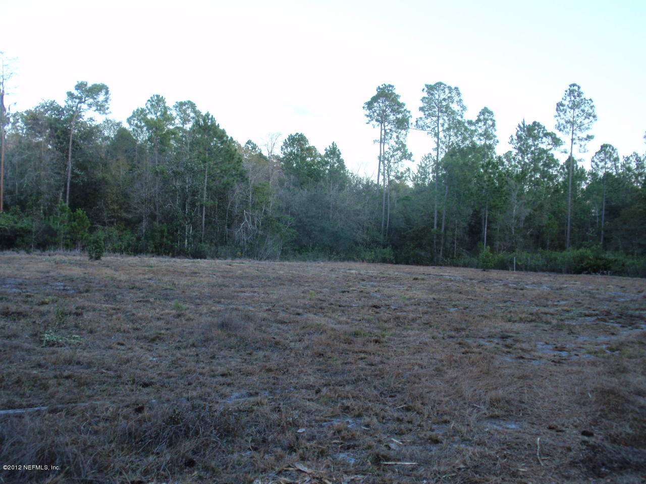 226 Eagle Creek Road Green Cove Springs, FL 32043 - Photo 2 of 4 a view of outdoor space with green field and trees