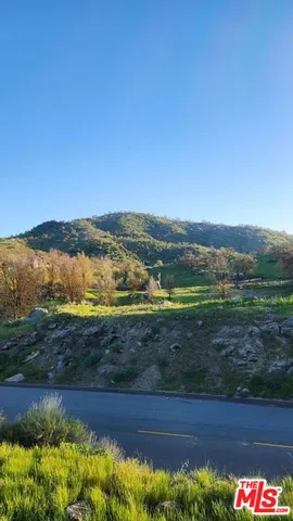 a view of a field with an ocean