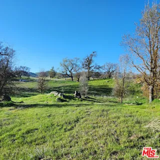 a view of a grassy field with trees