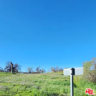 a view of a field with an ocean