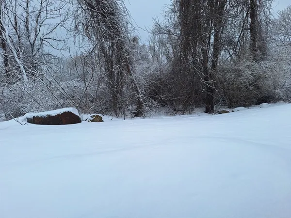 $2,100 | 48 Gee Avenue, Unit B, Gloucester, MA 01930