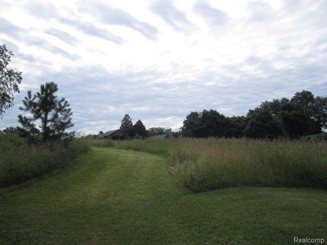 5445 37 Mile Road Romeo, MI 48065 - Photo 21 of 23 5445 37 Mile Road - Vacant Land2