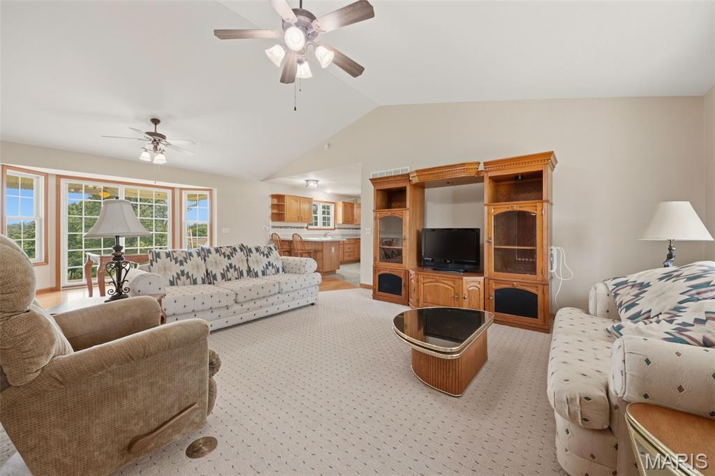 451 Birkhead Road Winfield, MO 63389 - Photo 13 of 48