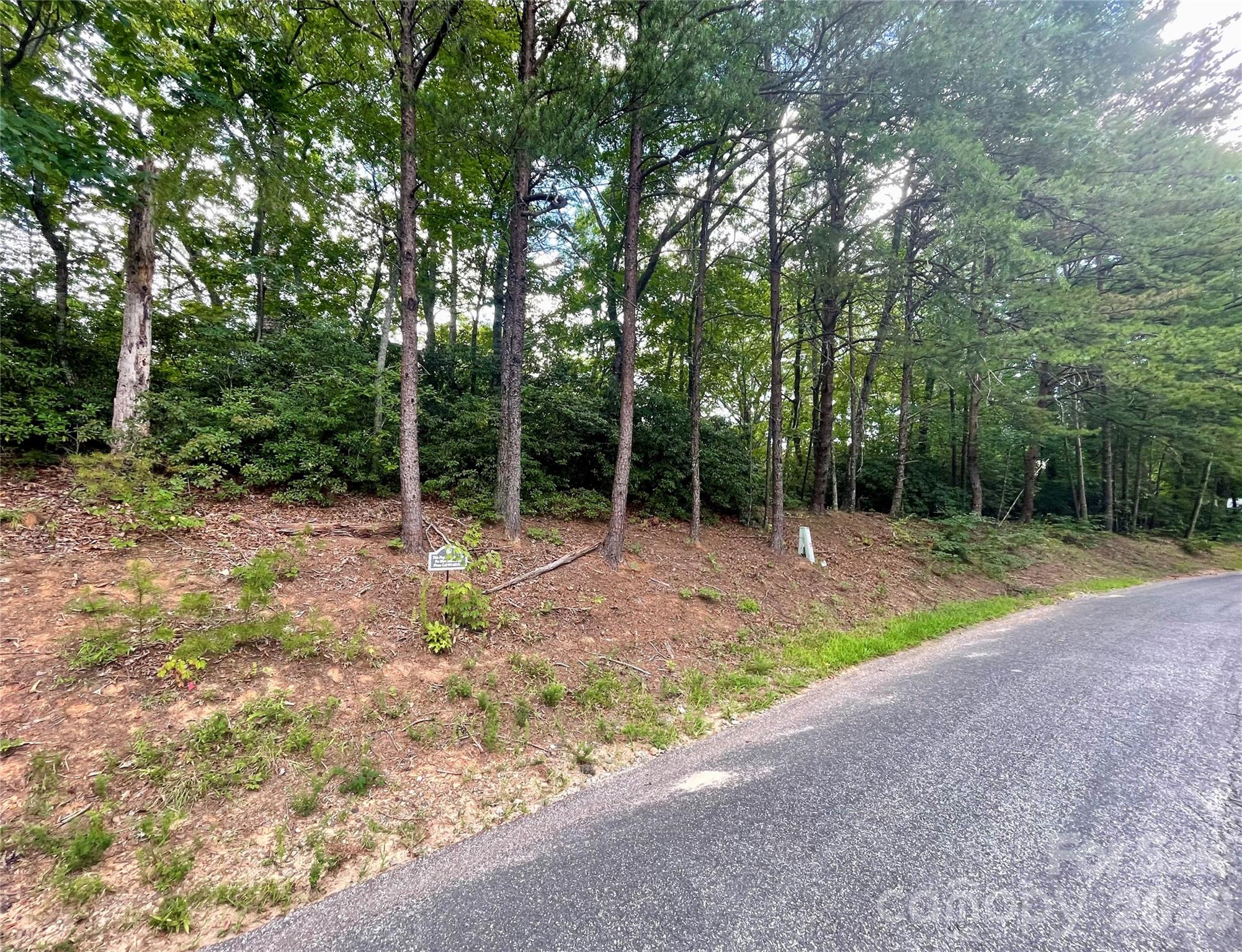 282 Quail Ridge Road Lake Lure, NC 28746 - Photo 2 of 5