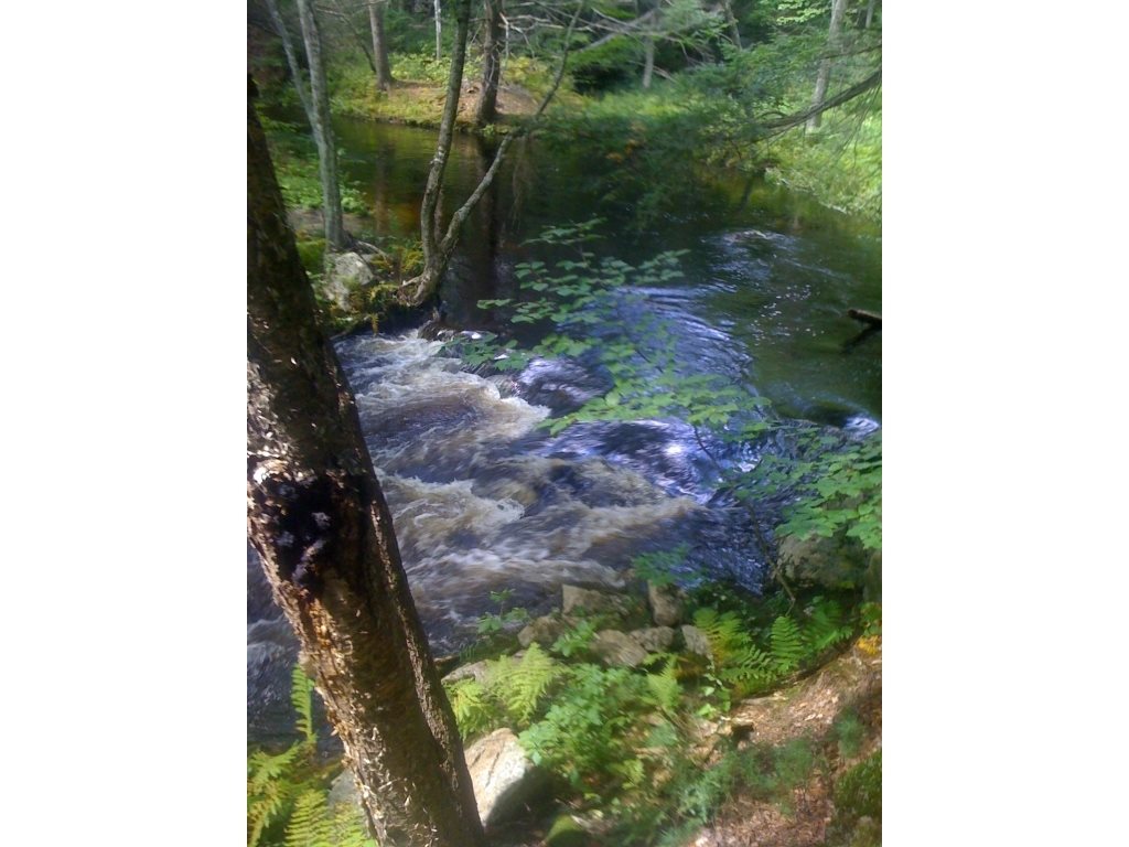181 School House Road Sandwich, NH 03227 - Photo 14 of 36