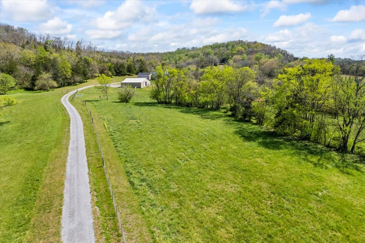 216 Old Wolf Hill Road Bethpage, TN 37022 - Photo 68 of 70 a view of a yard with an trees