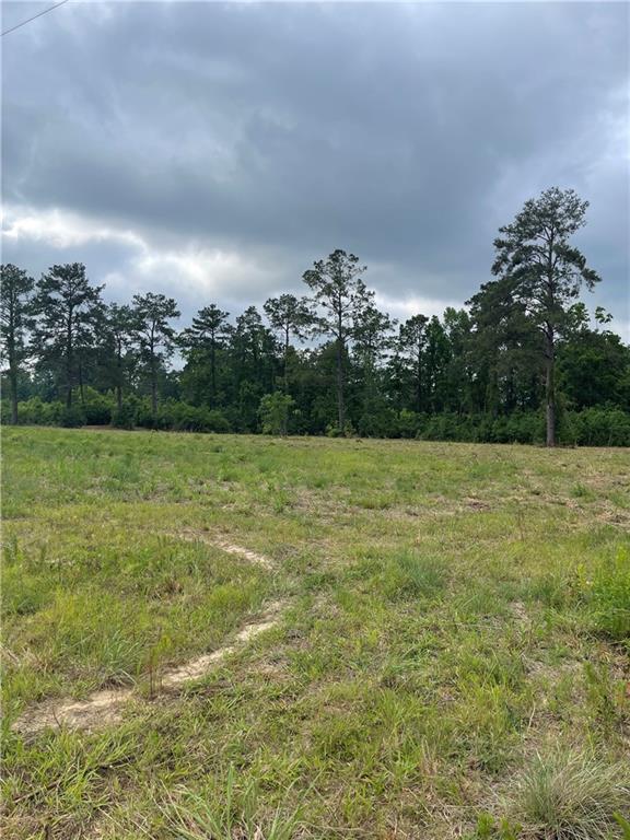 0 Nadrchal Road Deville, LA 71328 - Photo 4 of 5