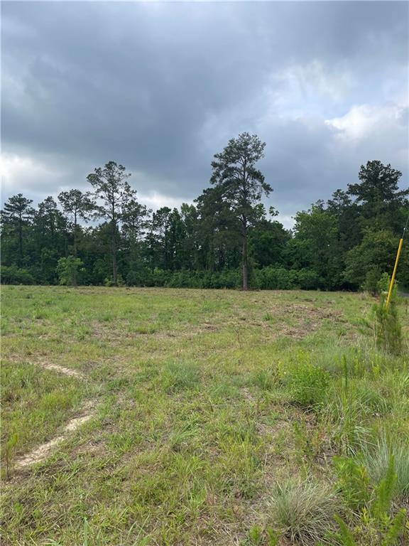 0 Nadrchal Road Deville, LA 71328 - Photo 5 of 5