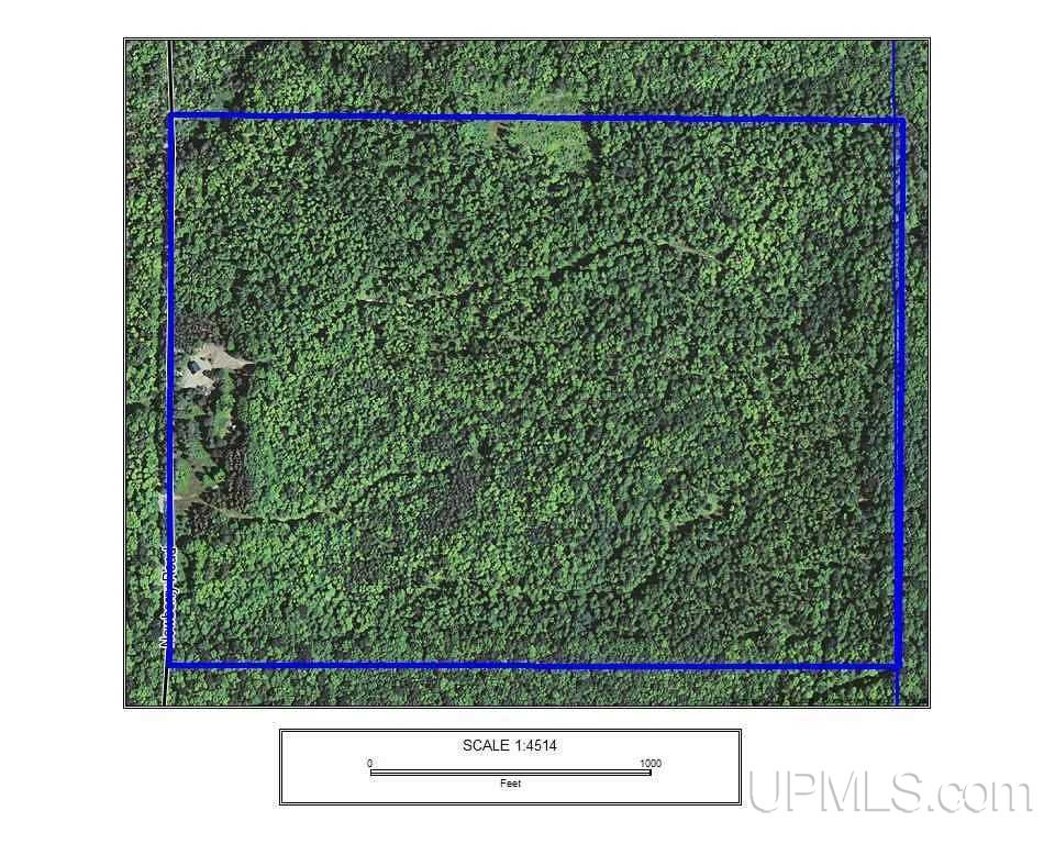 21660 Newberry Road Pelkie, MI 49958 - Photo 2 of 40