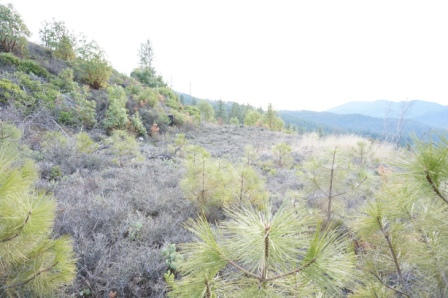 221 Rocker Road Weaverville, CA 96093 - Photo 4 of 9