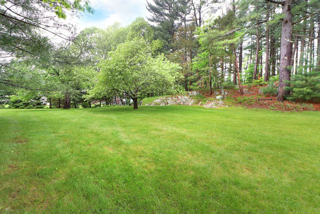 21 Woodland Road Westwood, MA 02090 - Photo 26 of 26 Gallery Image 26