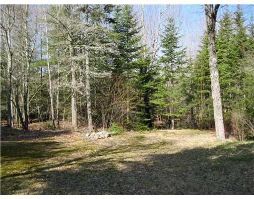 356 Ellsworth Road Blue Hill, ME 04614 - Photo 3 of 11 Yard/Garden.