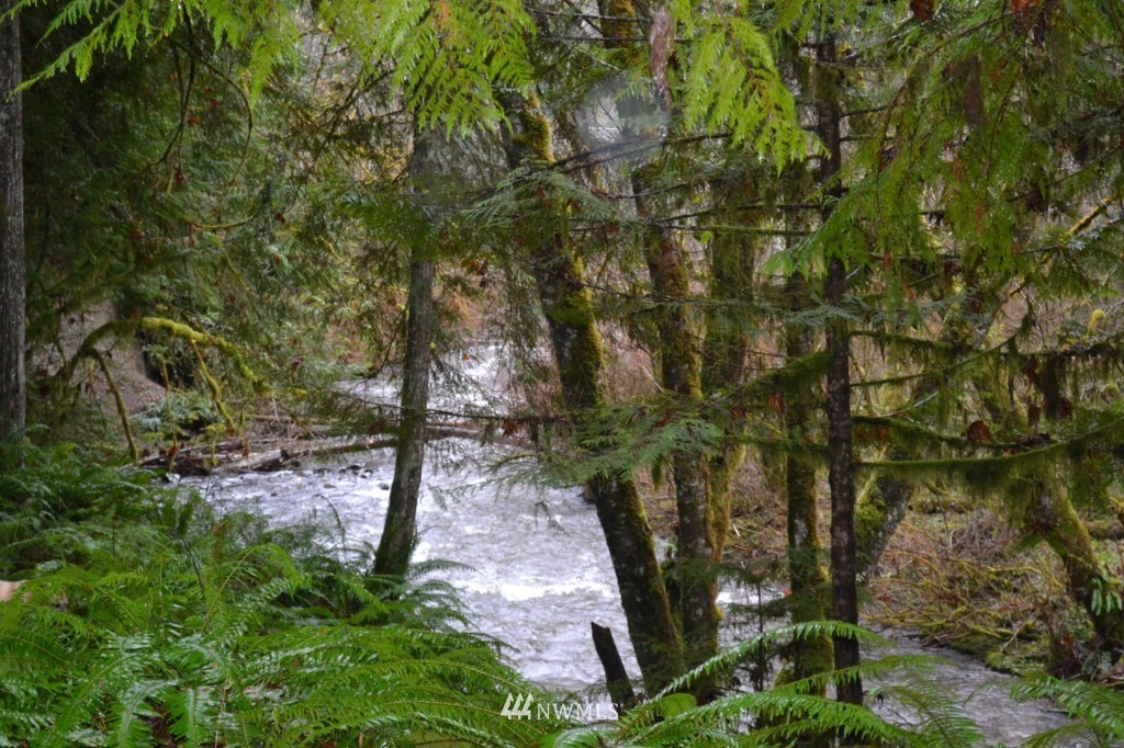 1251 Lords Lake Loop Road Quilcene, WA 98376 - Photo 1 of 37