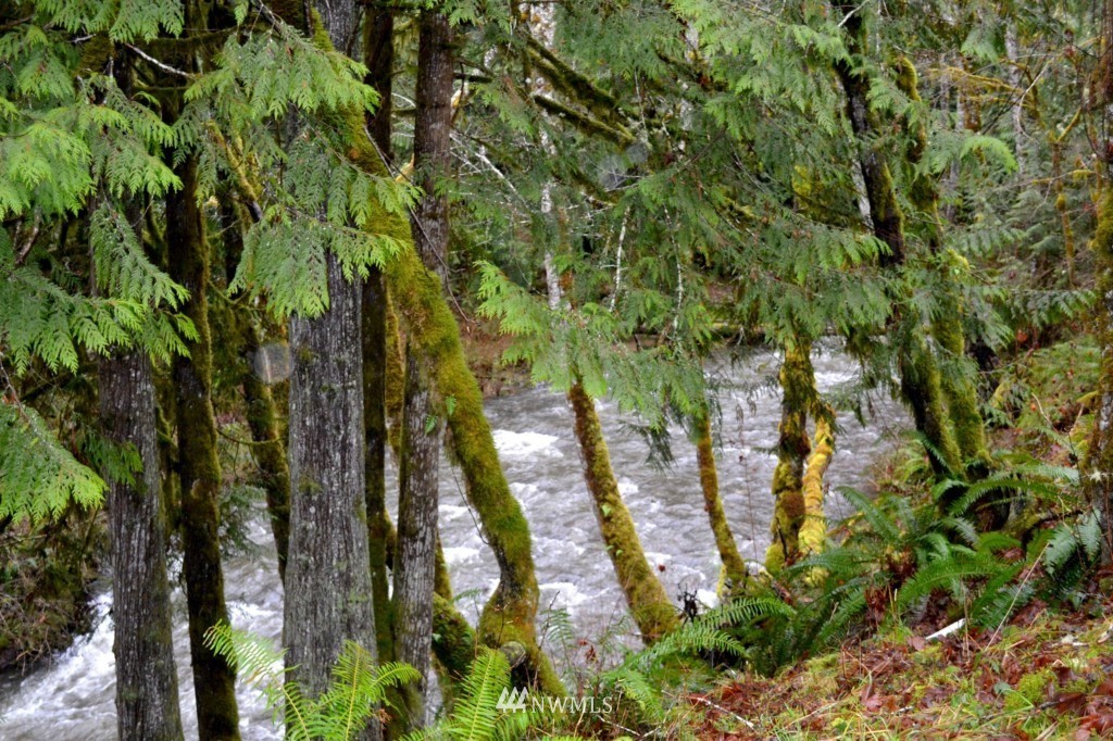 1251 Lords Lake Loop Road Quilcene, WA 98376 - Photo 22 of 37
