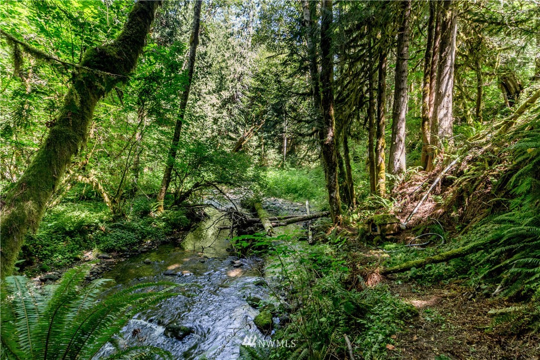 1251 Lords Lake Loop Road Quilcene, WA 98376 - Photo 24 of 37