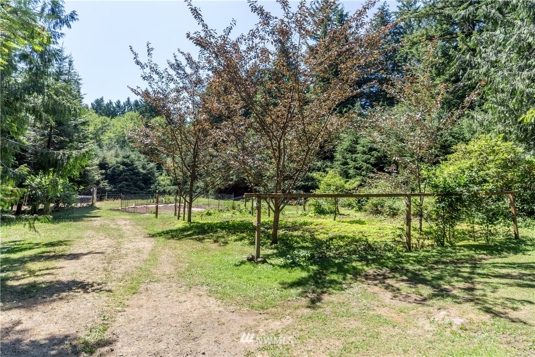 1251 Lords Lake Loop Road Quilcene, WA 98376 - Photo 4 of 37