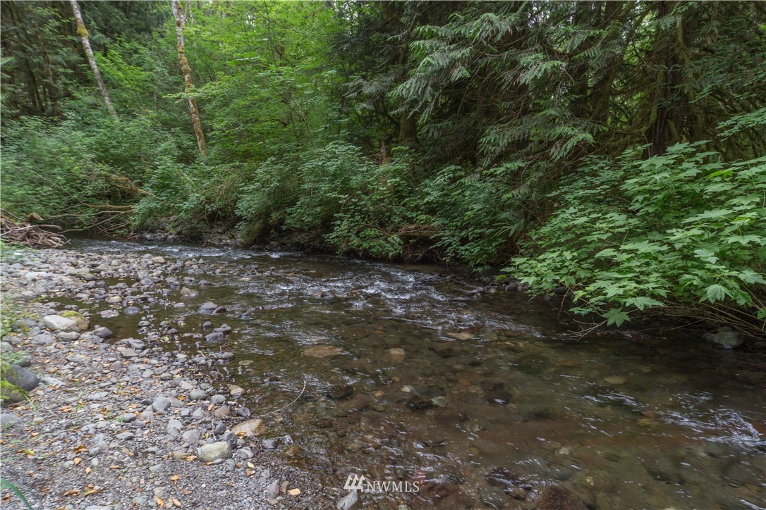 1251 Lords Lake Loop Road Quilcene, WA 98376 - Photo 34 of 37