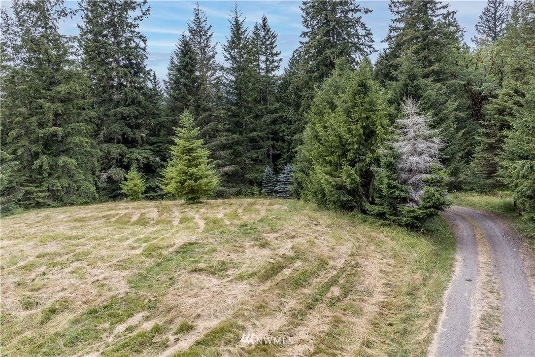1251 Lords Lake Loop Road Quilcene, WA 98376 - Photo 35 of 37